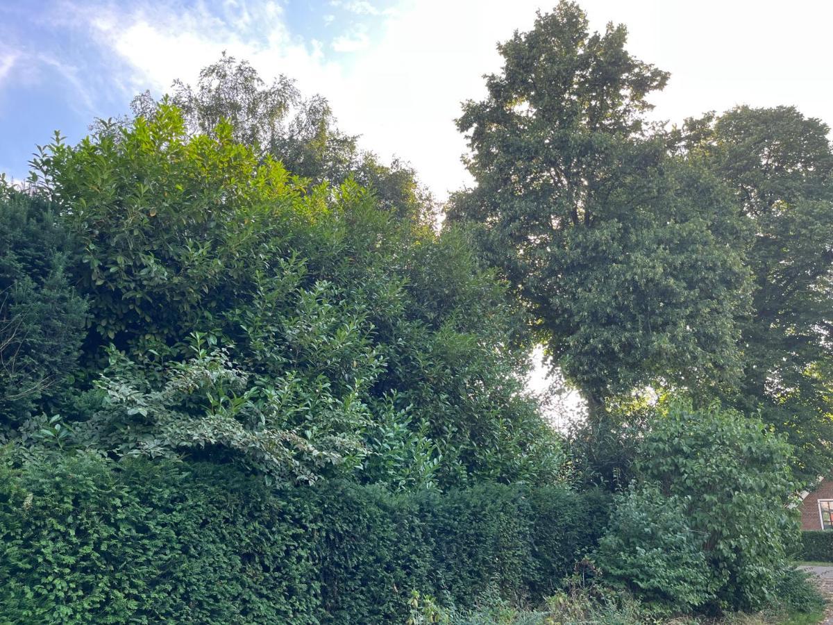 Zwols Groen Zwolle  Bagian luar foto